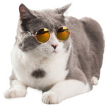 Fashion cat accessorries Cat Sunglasses